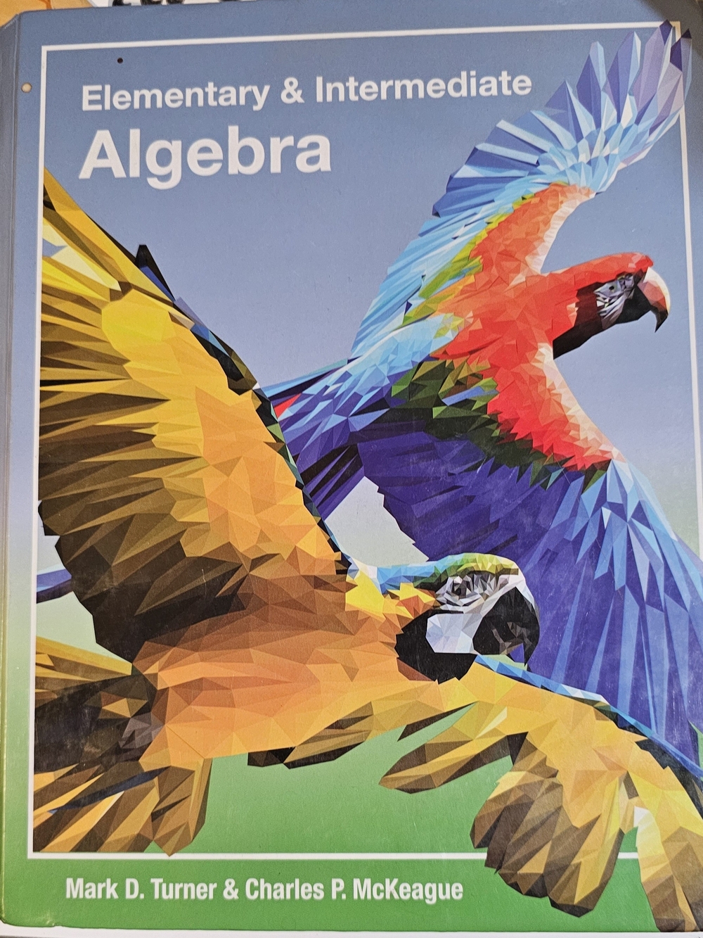 Colorful Parrot Bird Poster - Vibrant Blue, Red, Yellow Artwork